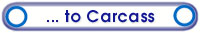 carcas1.jpg (3654 bytes)